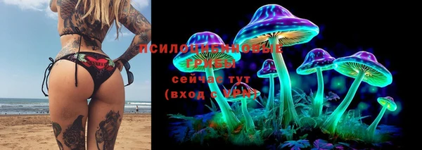 гидропоника Абинск
